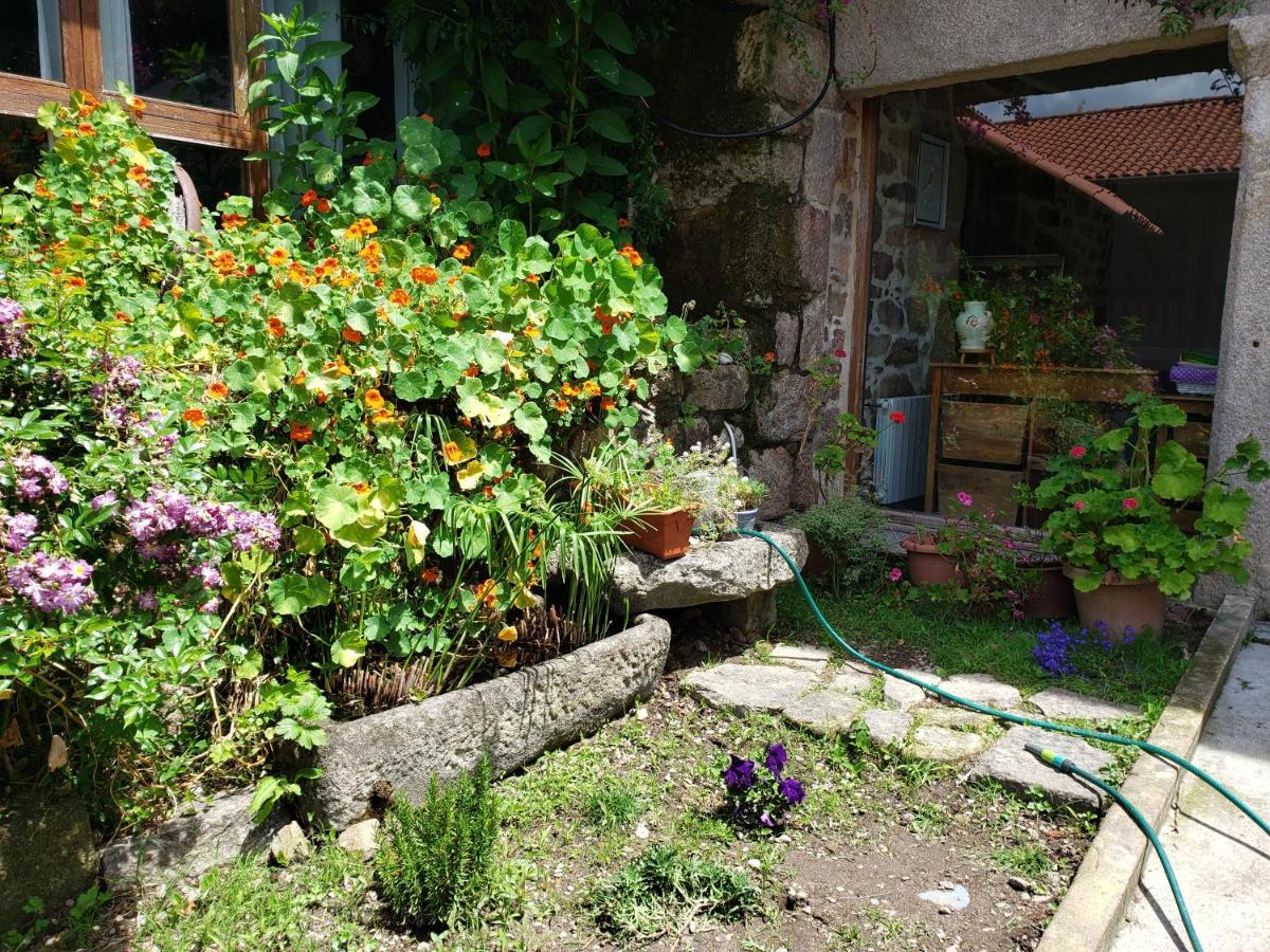 Casa Rural Do Fontan Pensionat Pontevedra Exteriör bild